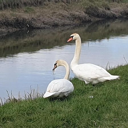 Delightful Cottage On The River Adur Close To Brighton & The Downs No Dogs Sorry Upper Beeding Buitenkant foto