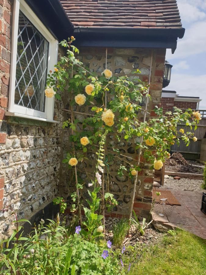 Delightful Cottage On The River Adur Close To Brighton & The Downs No Dogs Sorry Upper Beeding Buitenkant foto