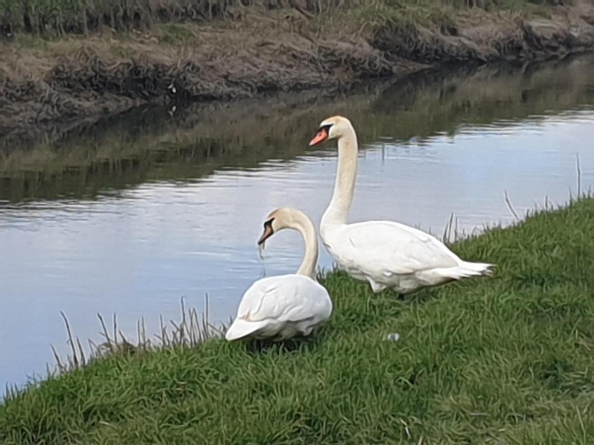 Delightful Cottage On The River Adur Close To Brighton & The Downs No Dogs Sorry Upper Beeding Buitenkant foto